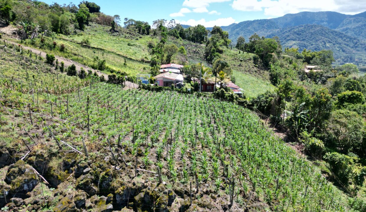 WhatsApp Image 2026-03-13 at 14.00.31 (6)