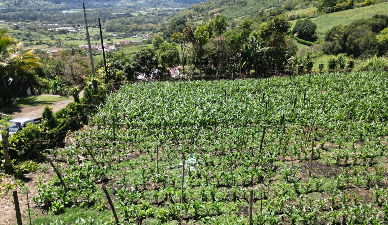 WhatsApp Image 2026-03-13 at 14.00.31 (7)