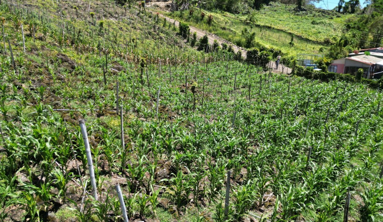 WhatsApp Image 2026-03-13 at 14.00.31 (8)