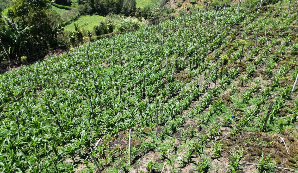 WhatsApp Image 2026-03-13 at 14.00.31 (9)