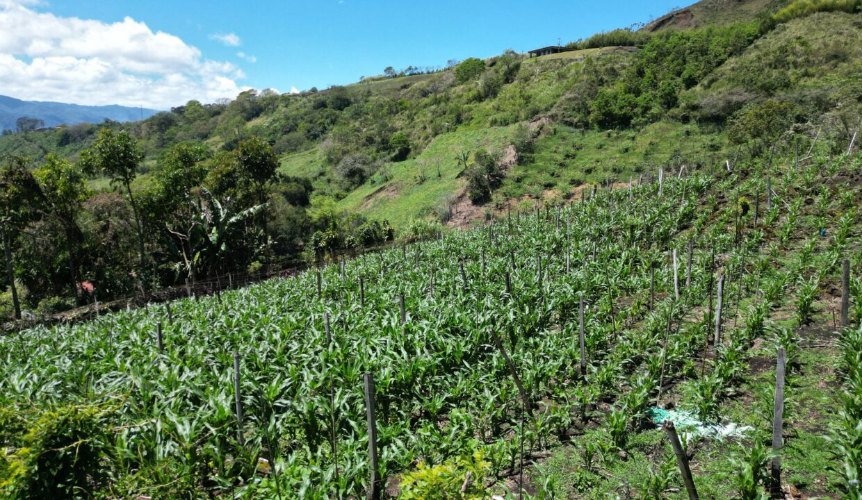 WhatsApp Image 2026-03-13 at 14.00.32 (1)