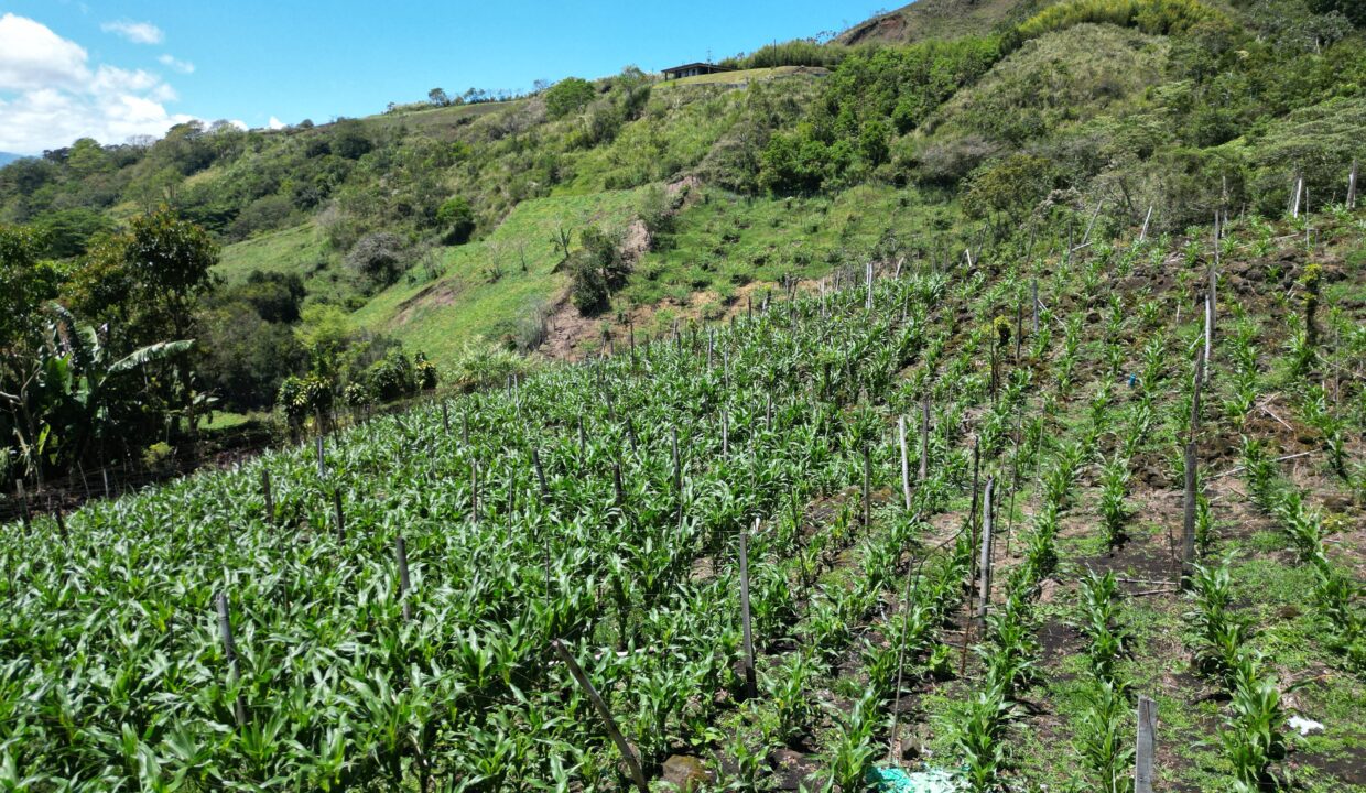 WhatsApp Image 2026-03-13 at 14.00.32 (2)