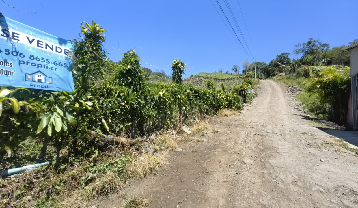 WhatsApp Image 2026-03-13 at 14.02.54