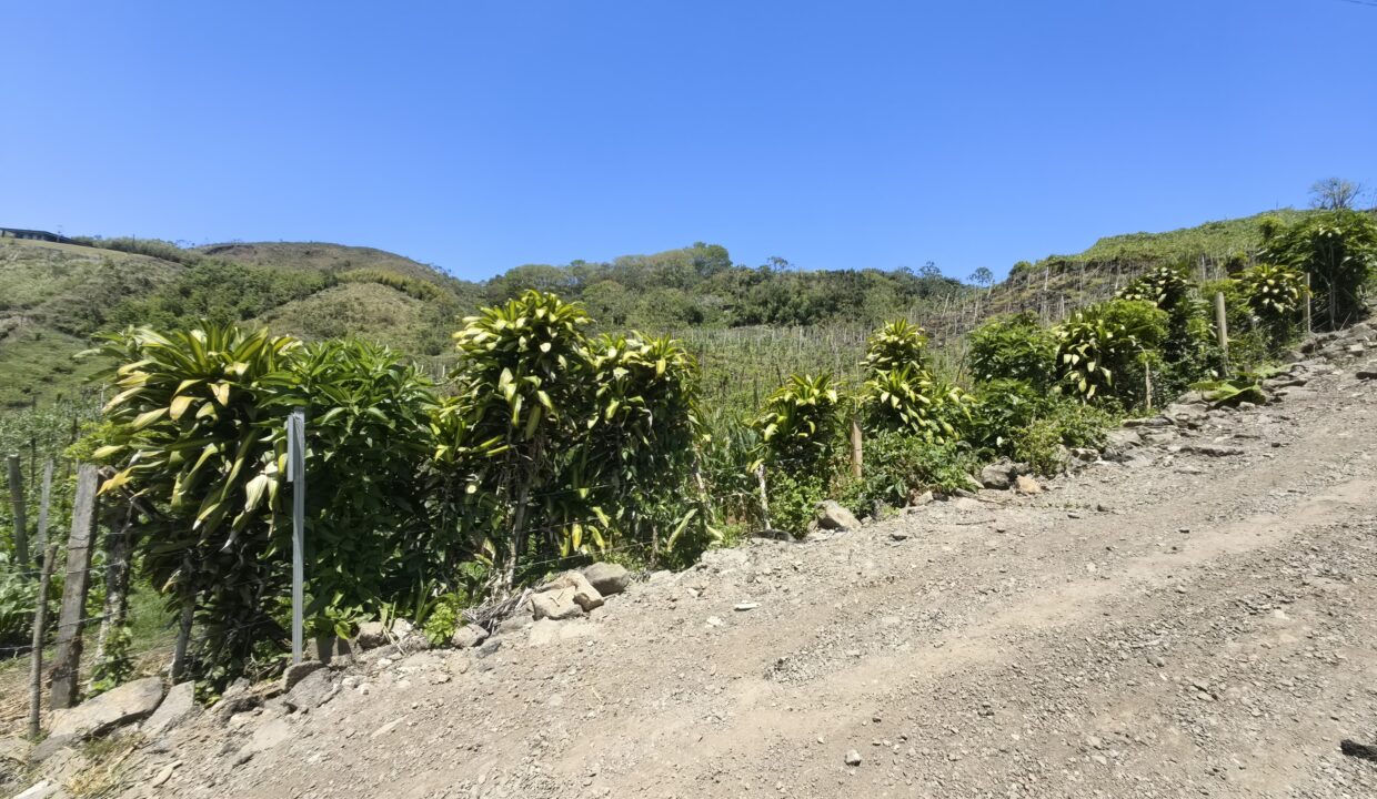 WhatsApp Image 2026-03-13 at 14.03.43