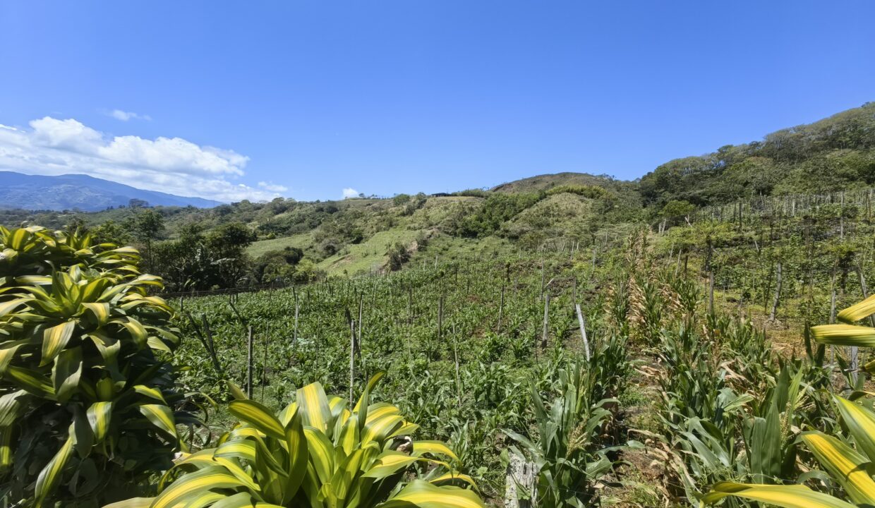 WhatsApp Image 2026-03-13 at 14.03.45 (1)