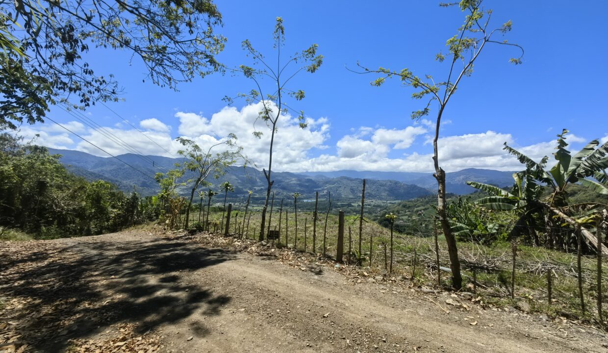 WhatsApp Image 2026-03-13 at 14.04.14