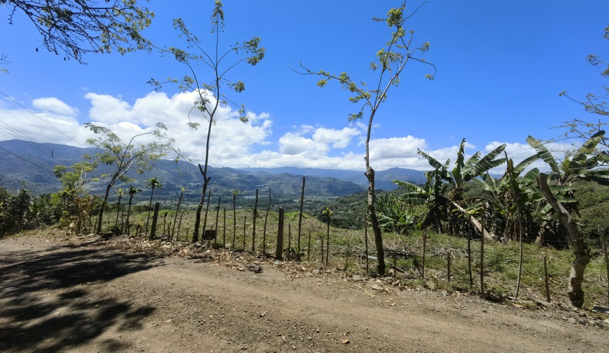 WhatsApp Image 2026-03-13 at 14.04.15