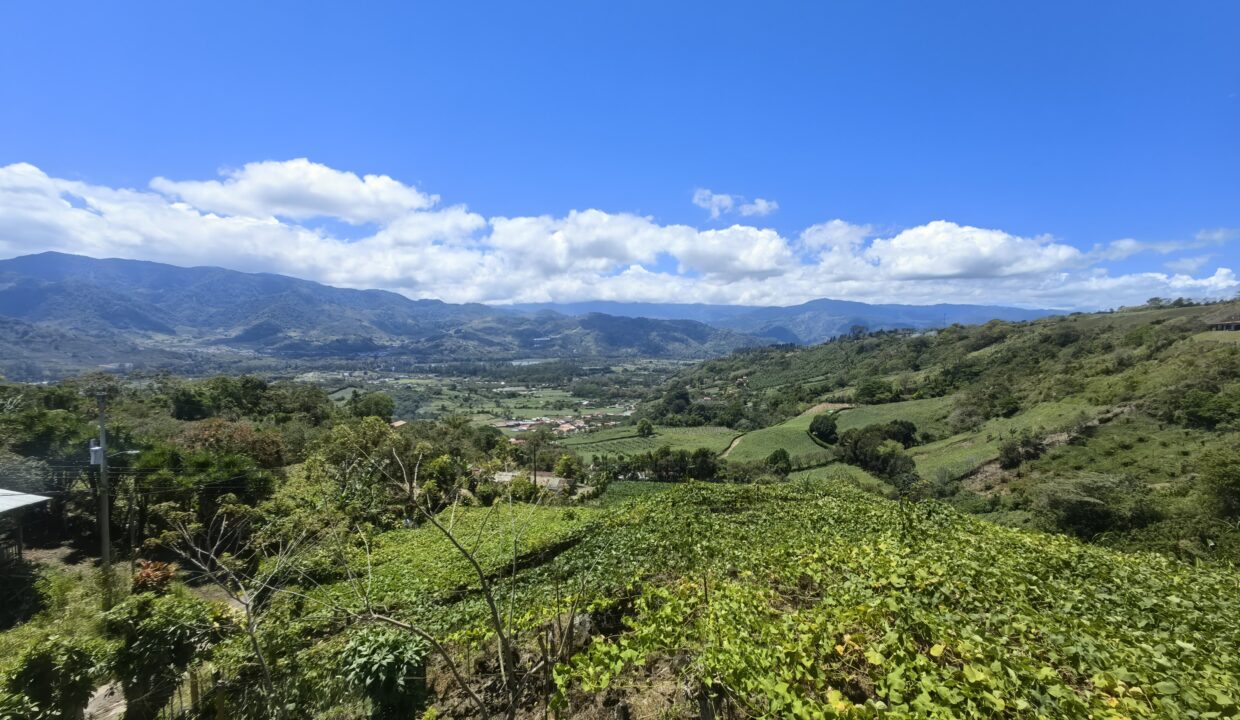 WhatsApp Image 2026-03-13 at 14.05.08 (1)