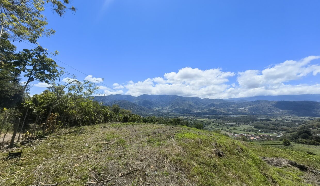 WhatsApp Image 2026-03-13 at 14.05.48 (1)