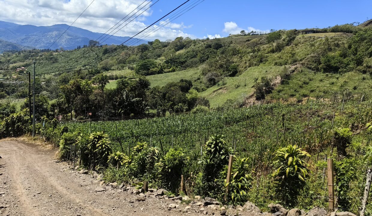 WhatsApp Image 2026-03-13 at 14.06.09