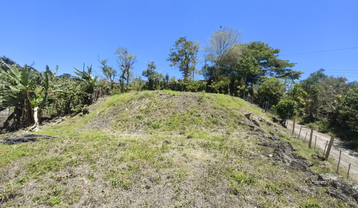 WhatsApp Image 2026-03-13 at 14.06.10 (2)