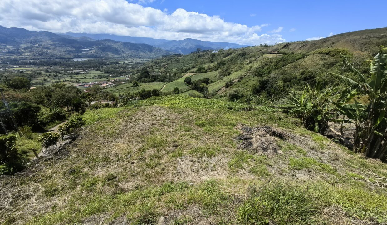 WhatsApp Image 2026-03-13 at 14.07.08