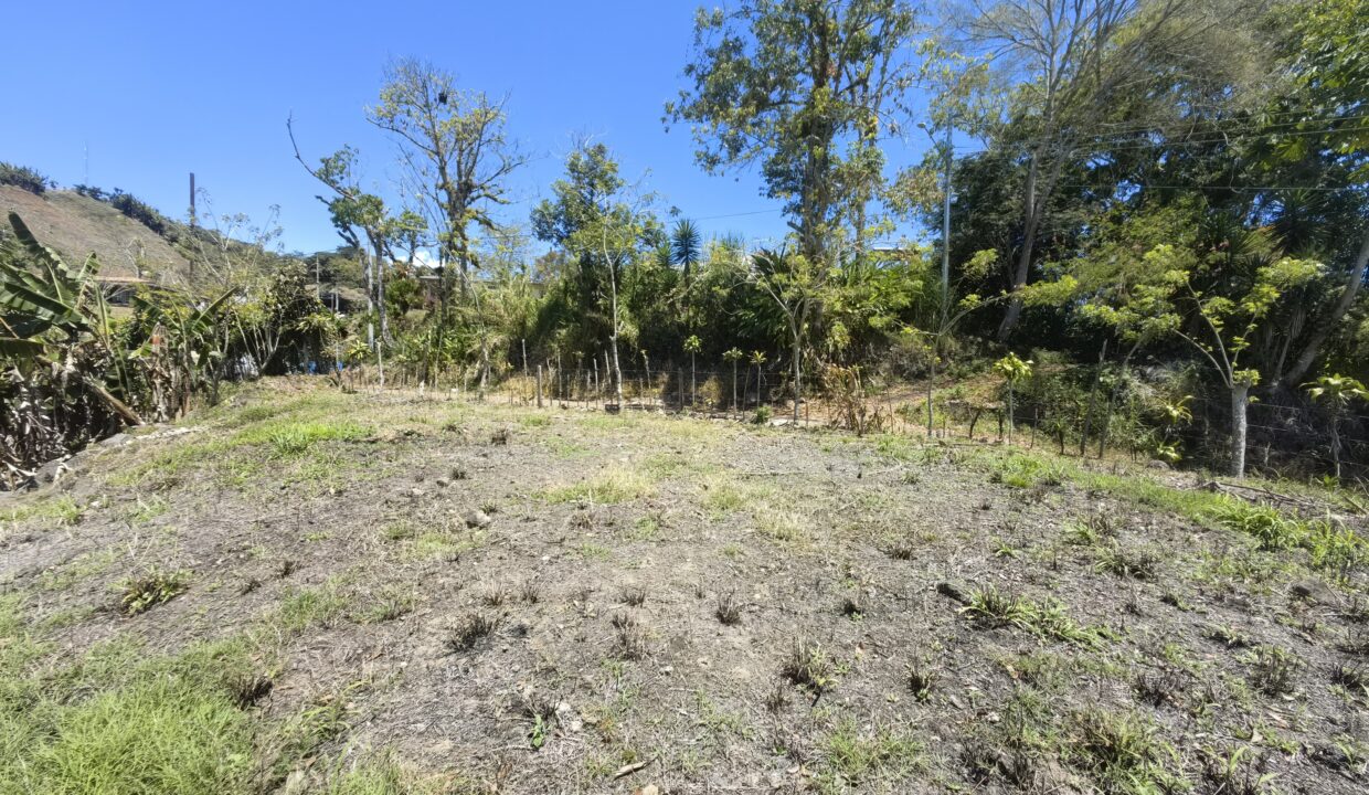 WhatsApp Image 2026-03-13 at 14.07.34