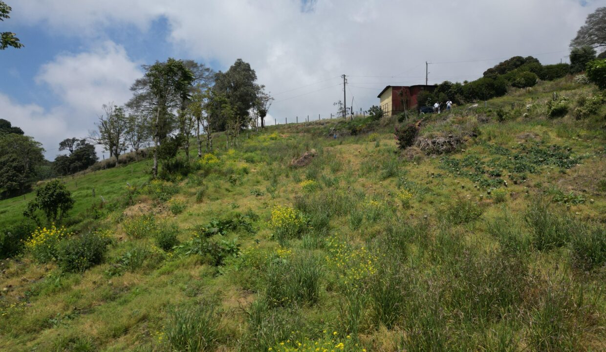 WhatsApp Image 2026-03-21 at 09.48.21 (4)