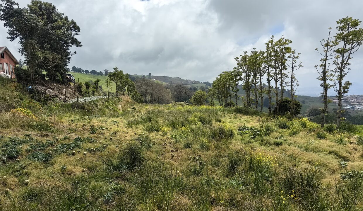 WhatsApp Image 2026-03-21 at 10.26.42