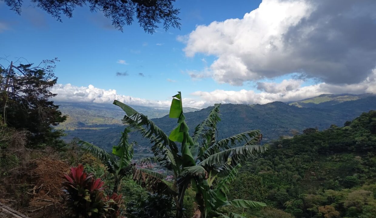 WhatsApp Image 2026-03-26 at 12.47.44