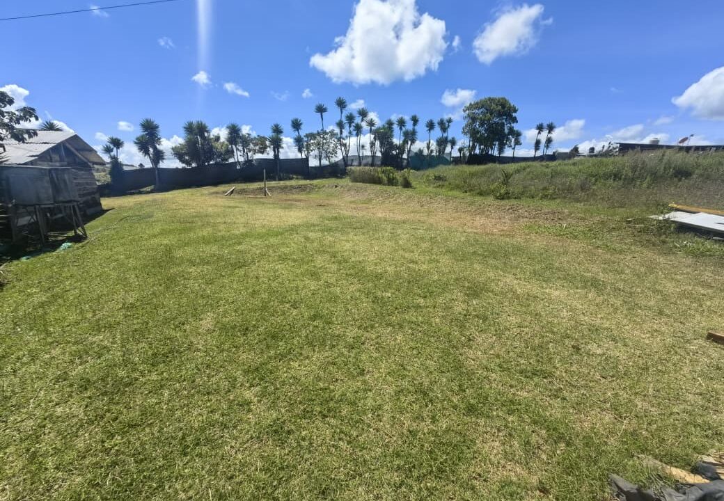 WhatsApp Image 2026-04-15 at 16.02.40