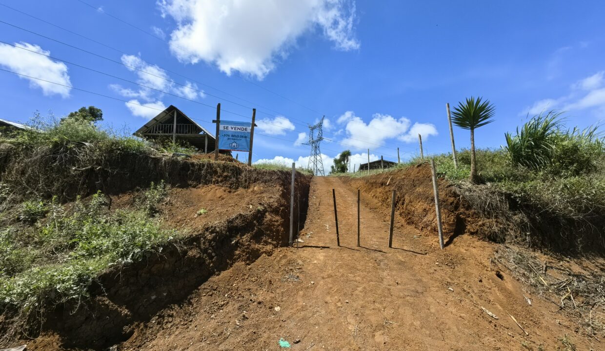 WhatsApp Image 2026-04-15 at 16.03.24