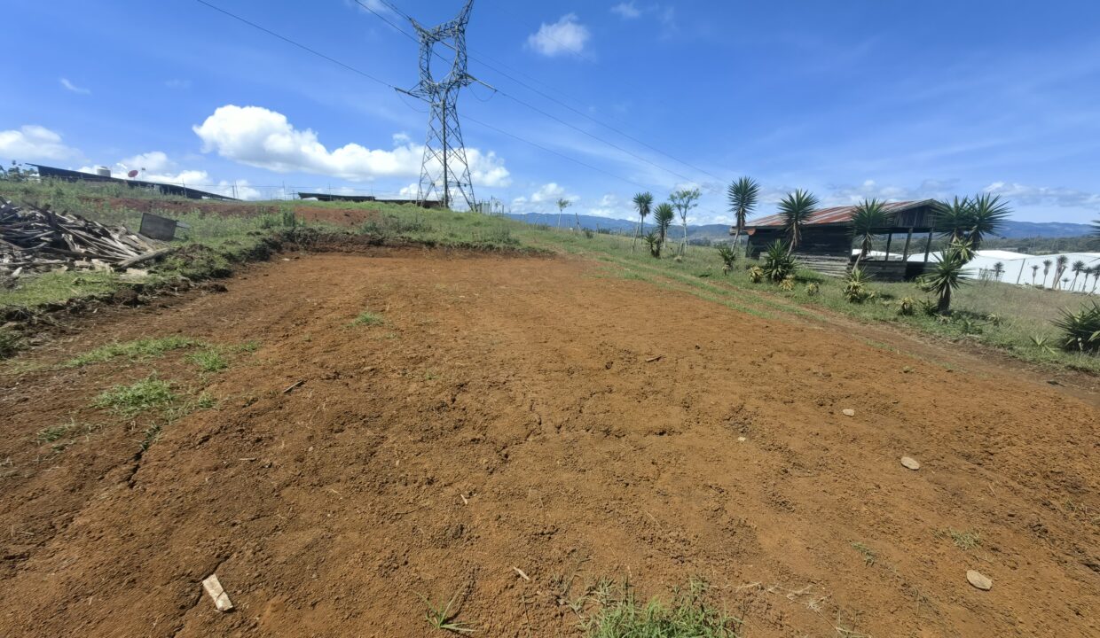 WhatsApp Image 2026-04-15 at 16.03.24 (2)