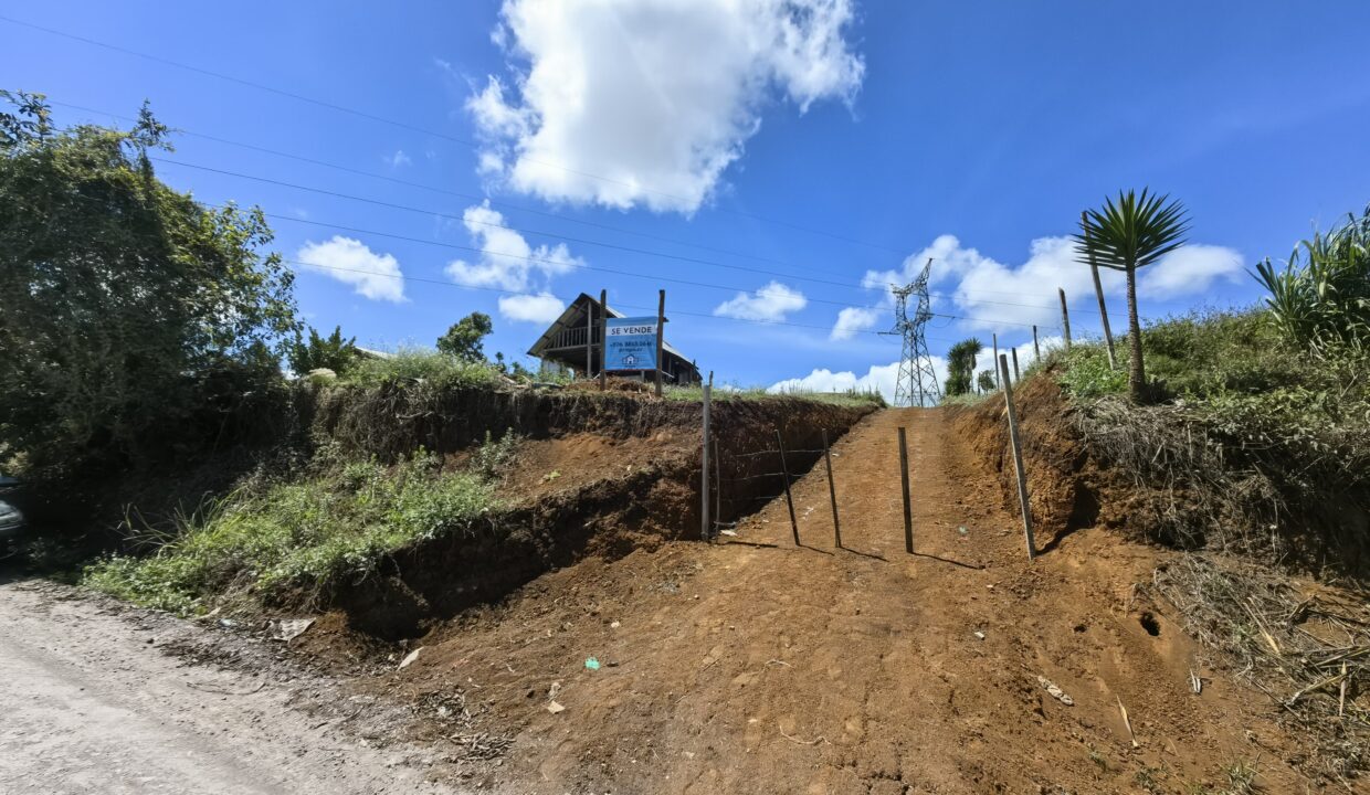 WhatsApp Image 2026-04-15 at 16.03.25