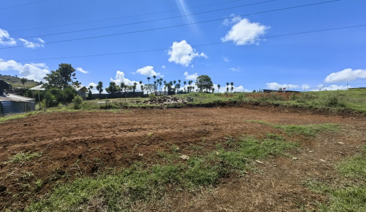 WhatsApp Image 2026-04-15 at 16.05.13 (1)