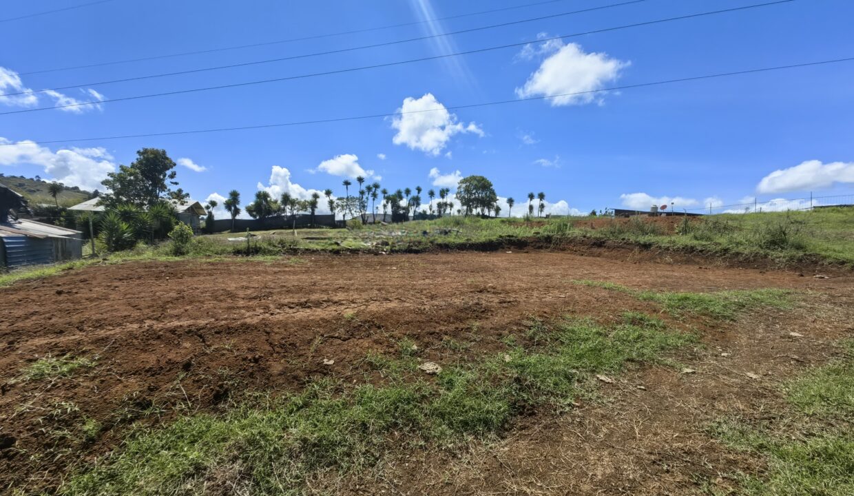 WhatsApp Image 2026-04-15 at 16.05.13