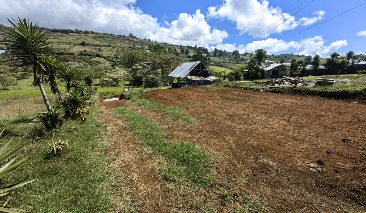 WhatsApp Image 2026-04-15 at 16.05.14 (1)