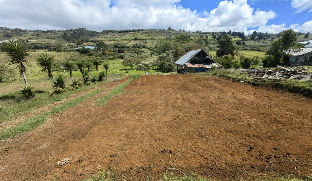 WhatsApp Image 2026-04-15 at 16.05.14 (2)