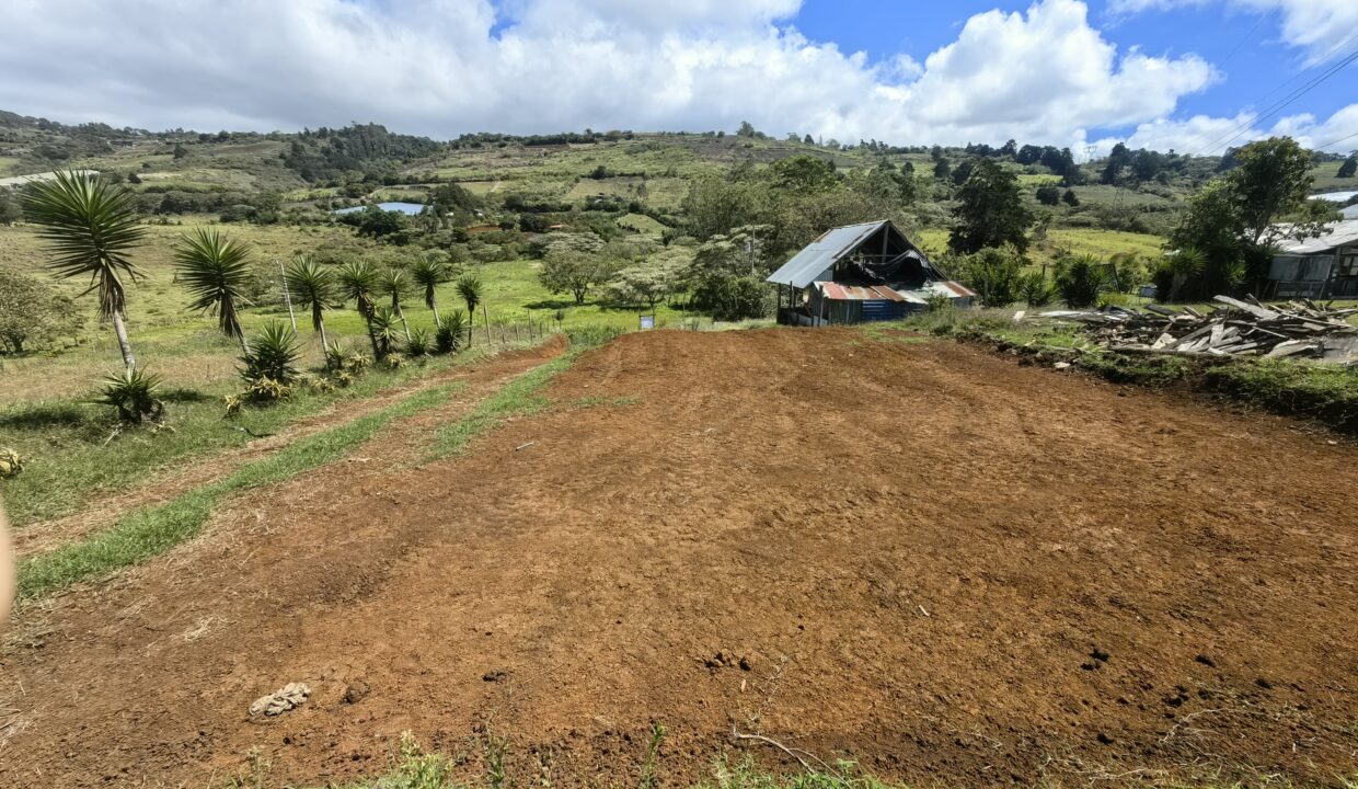 WhatsApp Image 2026-04-15 at 16.05.14 (3)