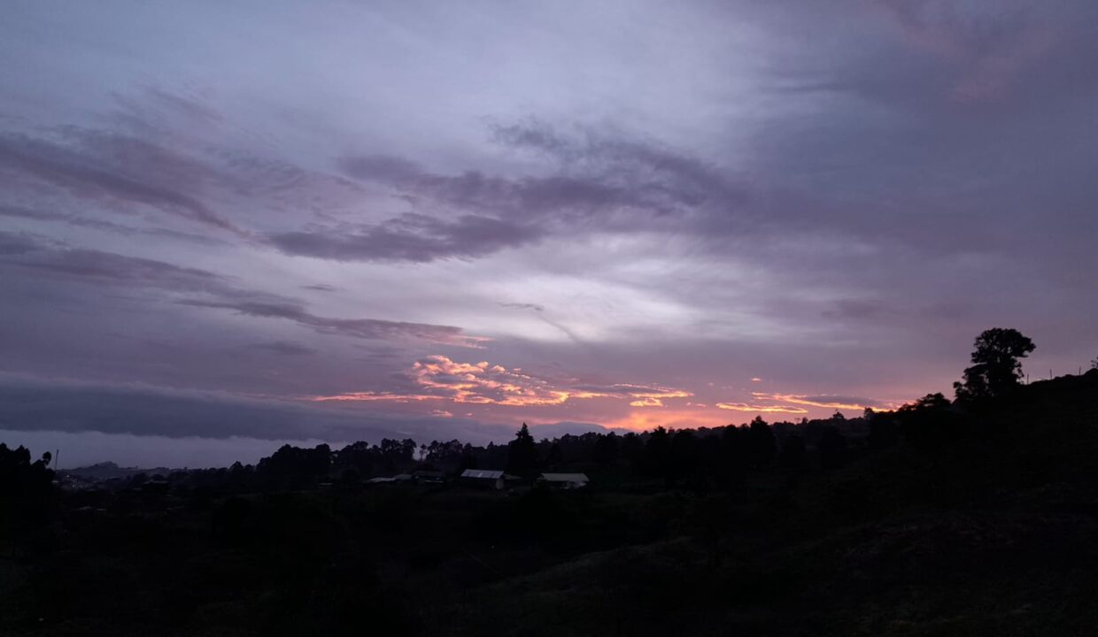 WhatsApp Image 2026-04-16 at 17.29.46