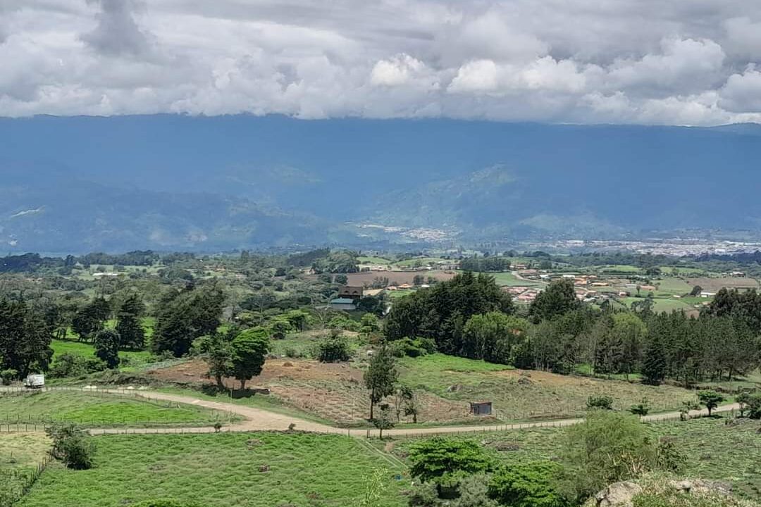 WhatsApp Image 2026-04-16 at 17.30.08 (1)