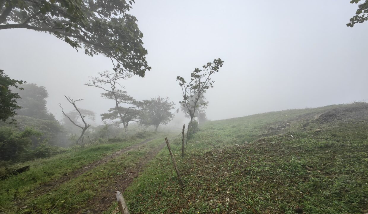 WhatsApp Image 2026-04-16 at 17.30.08