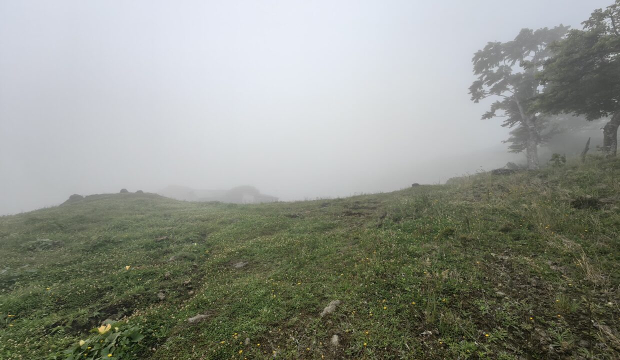 WhatsApp Image 2026-04-16 at 17.30.11