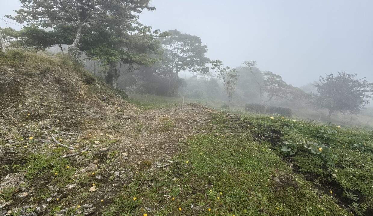 WhatsApp Image 2026-04-16 at 17.30.18