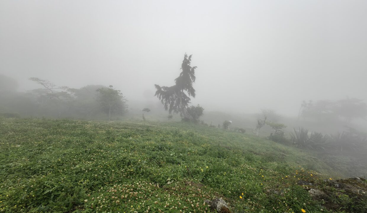 WhatsApp Image 2026-04-16 at 17.30.18 (2)