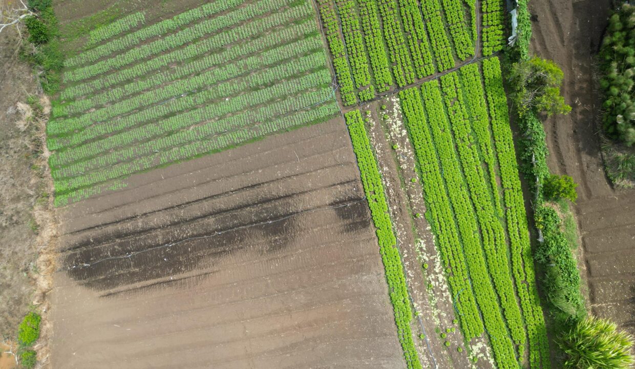 WhatsApp Image 2026-04-19 at 17.35.45 (1)