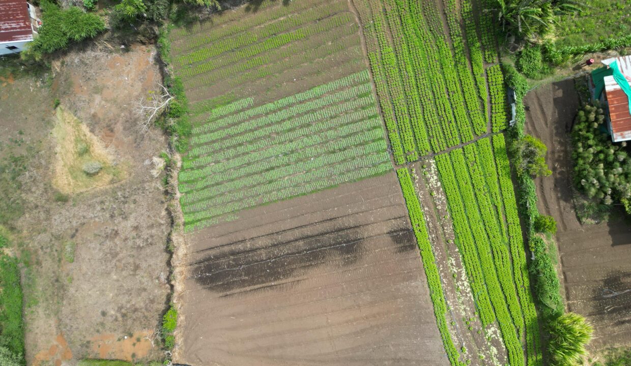 WhatsApp Image 2026-04-19 at 17.35.45 (3)