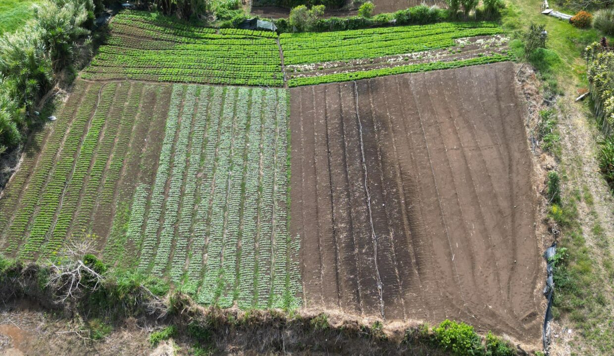 WhatsApp Image 2026-04-19 at 17.35.46