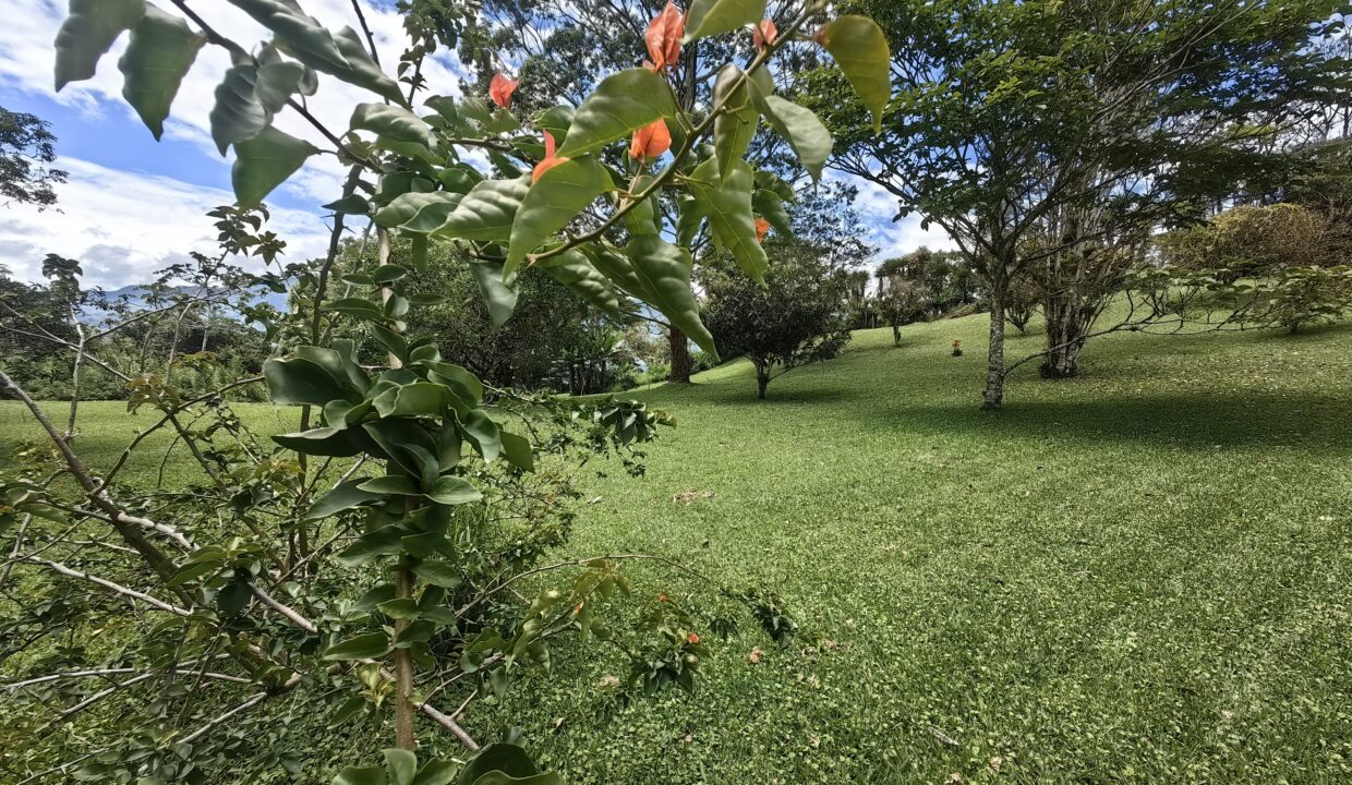 WhatsApp Image 2026-04-21 at 08.41.22