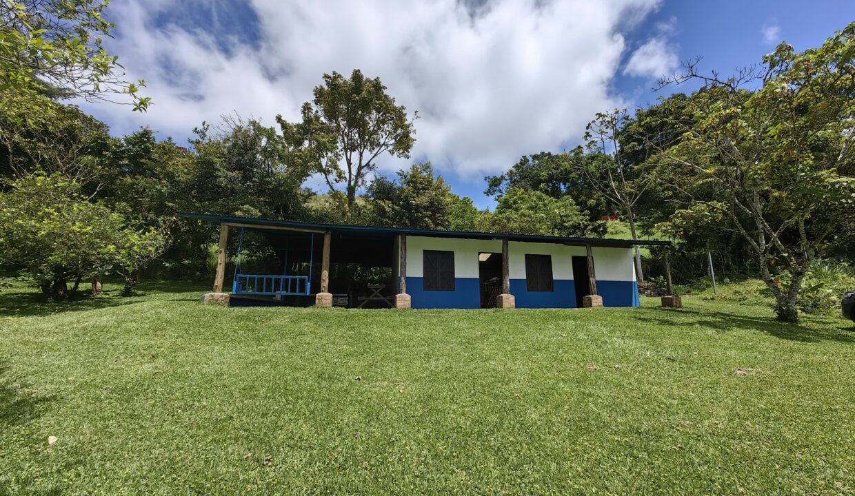 WhatsApp Image 2026-04-21 at 08.41.44