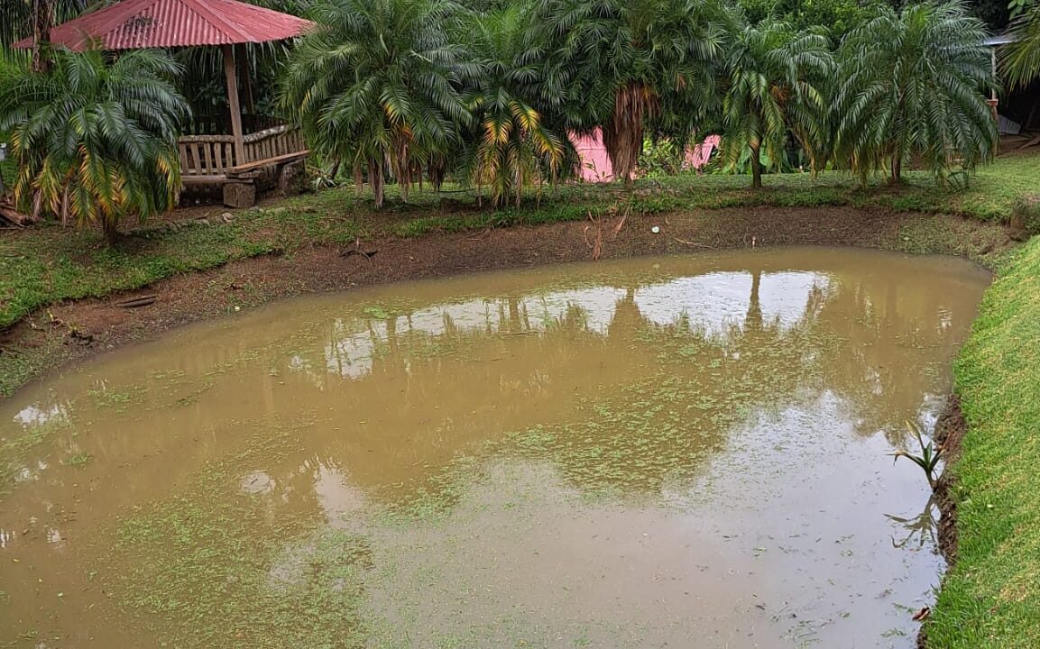 WhatsApp Image 2026-04-22 at 09.04.46 (2)