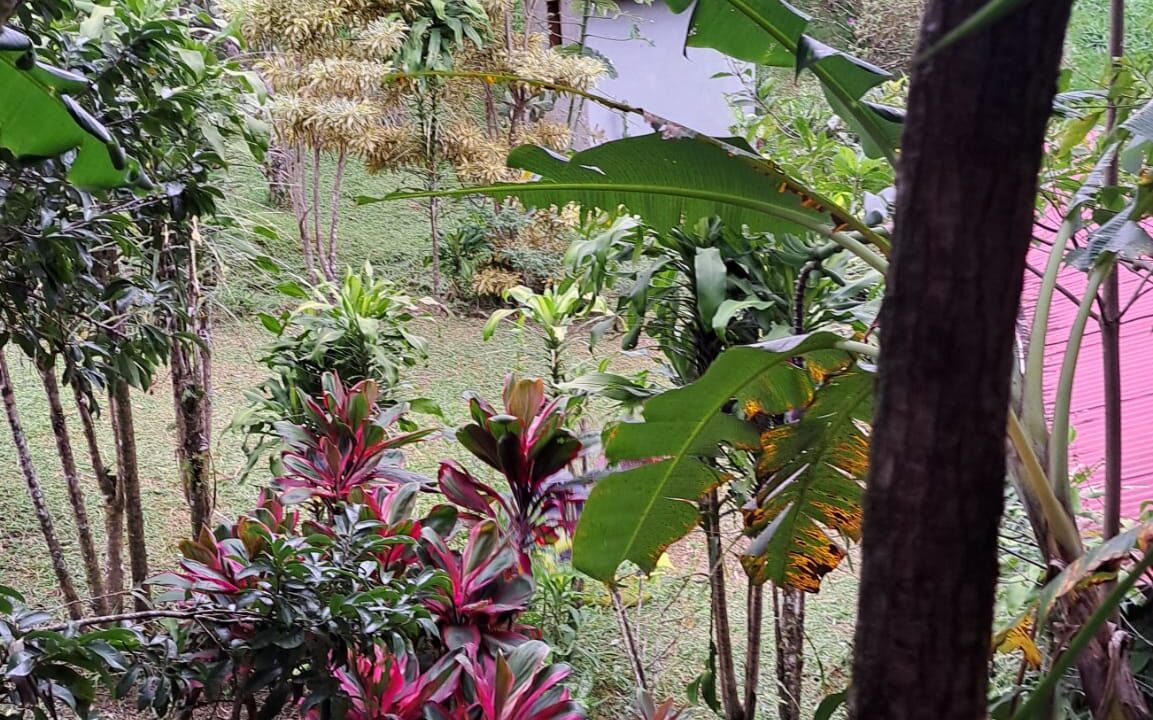 WhatsApp Image 2026-04-22 at 09.04.47