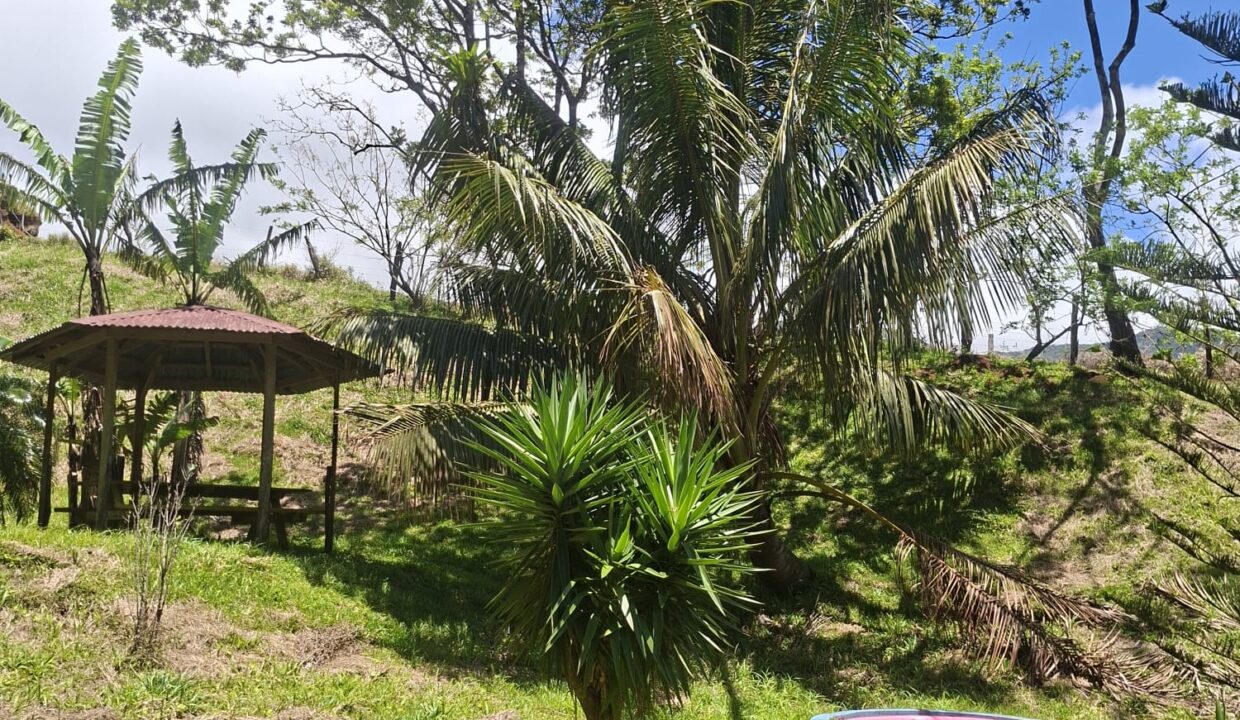 WhatsApp Image 2026-04-22 at 09.04.48 (1)