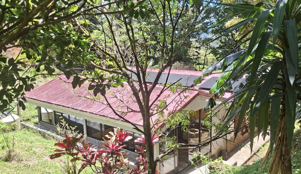 WhatsApp Image 2026-04-22 at 09.04.48