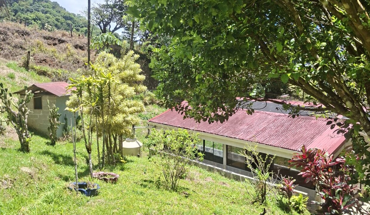 WhatsApp Image 2026-04-22 at 09.04.48 (2)