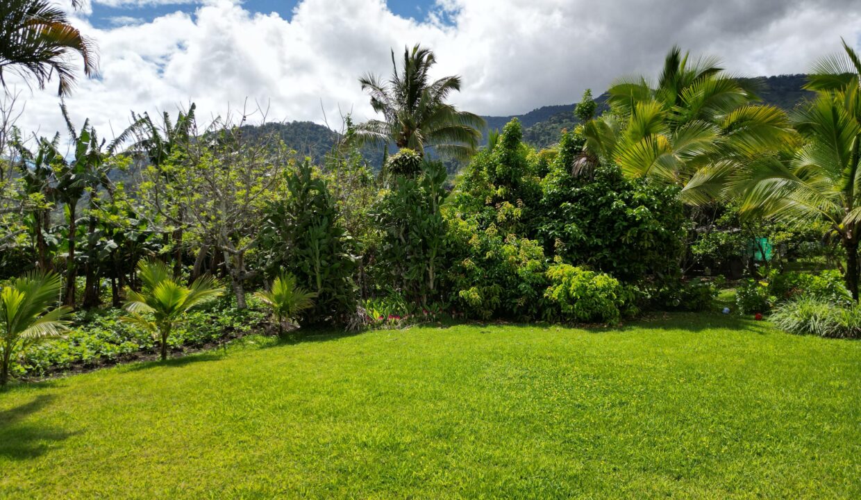 WhatsApp Image 2026-04-22 at 09.41.37