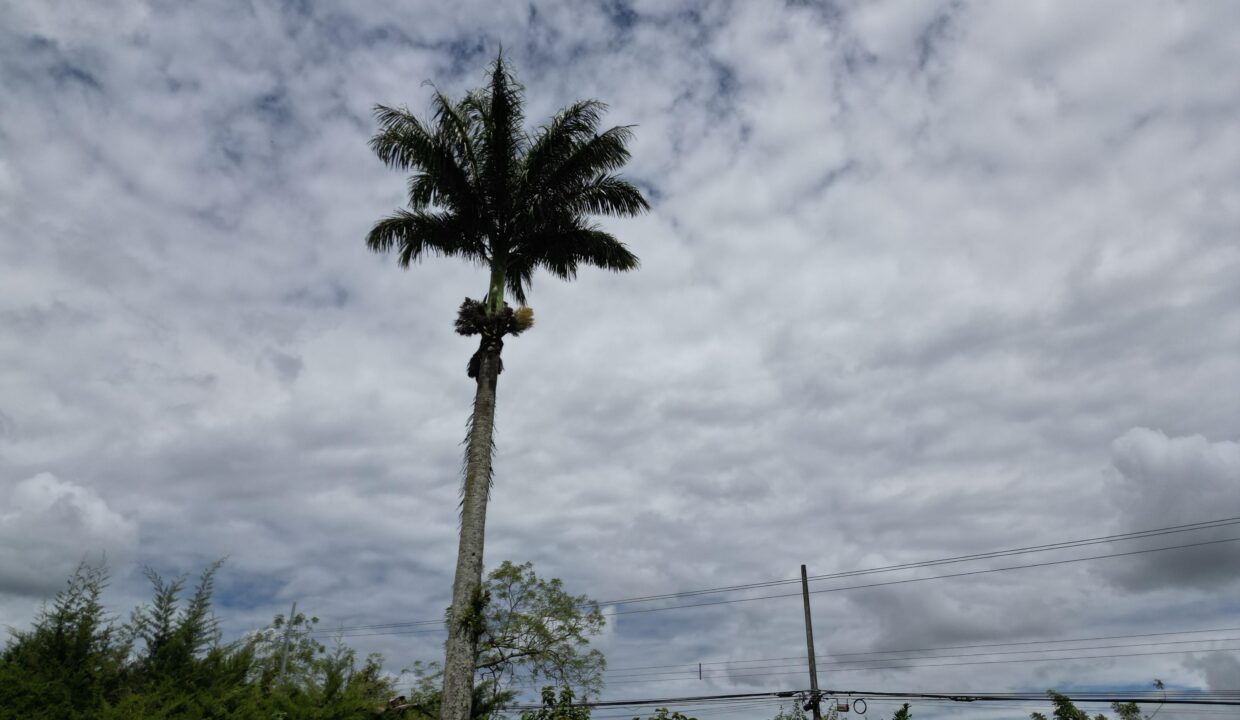 WhatsApp Image 2026-04-22 at 09.41.58 (4)