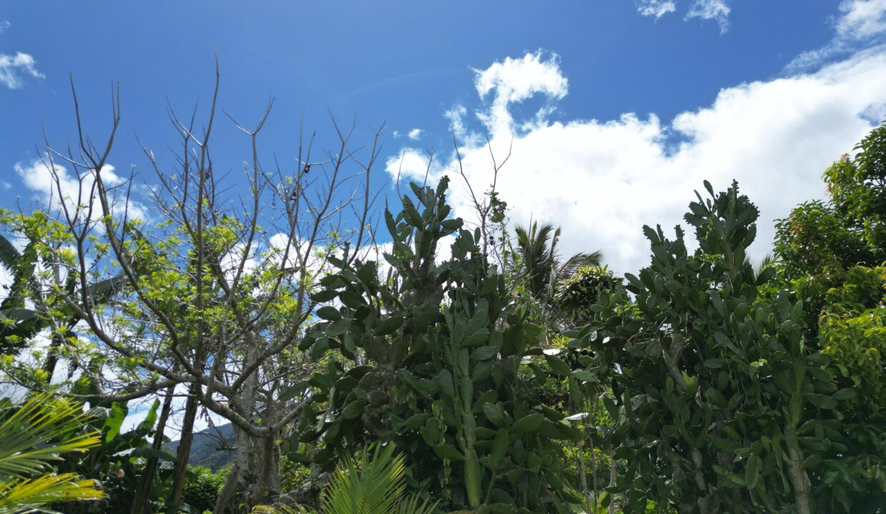 WhatsApp Image 2026-04-22 at 09.41.58 (5)