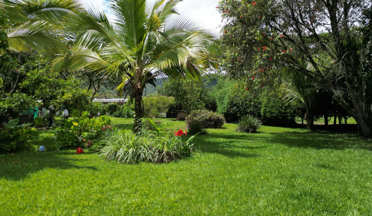 WhatsApp Image 2026-04-22 at 09.42.03