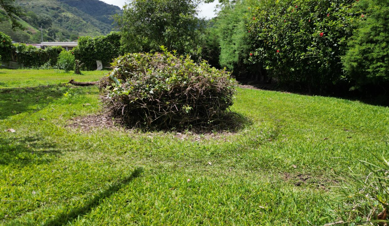 WhatsApp Image 2026-04-22 at 09.42.03 (3)